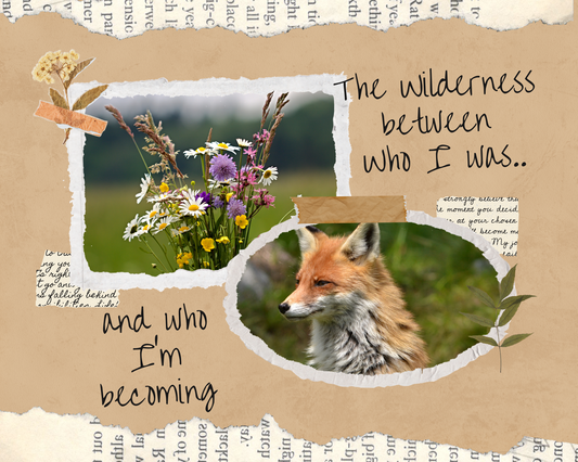 The Wilderness Between Who I Was and Who I'm Becoming